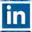 LinkedIn icon
